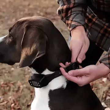 HavinFen Military-Grade GPS Virtual Dog Fence & Tracker