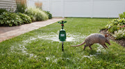 MotixSpray Motion Activated Sprinkler & Armadillo Deterrent