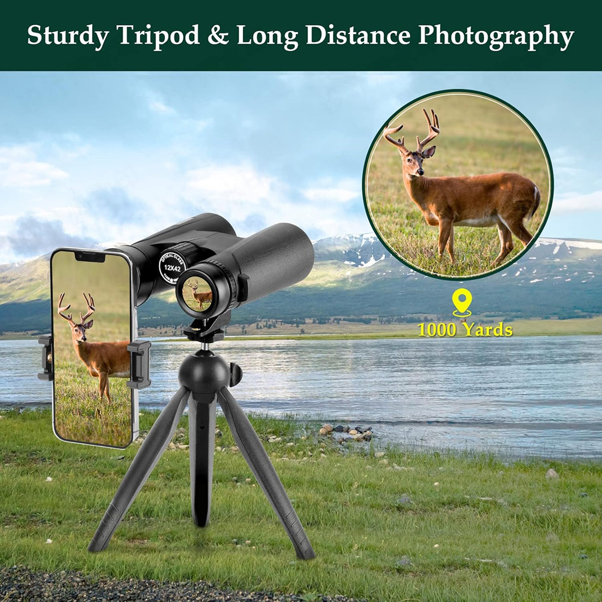 AvidiLens Binoculars for Bird Watching