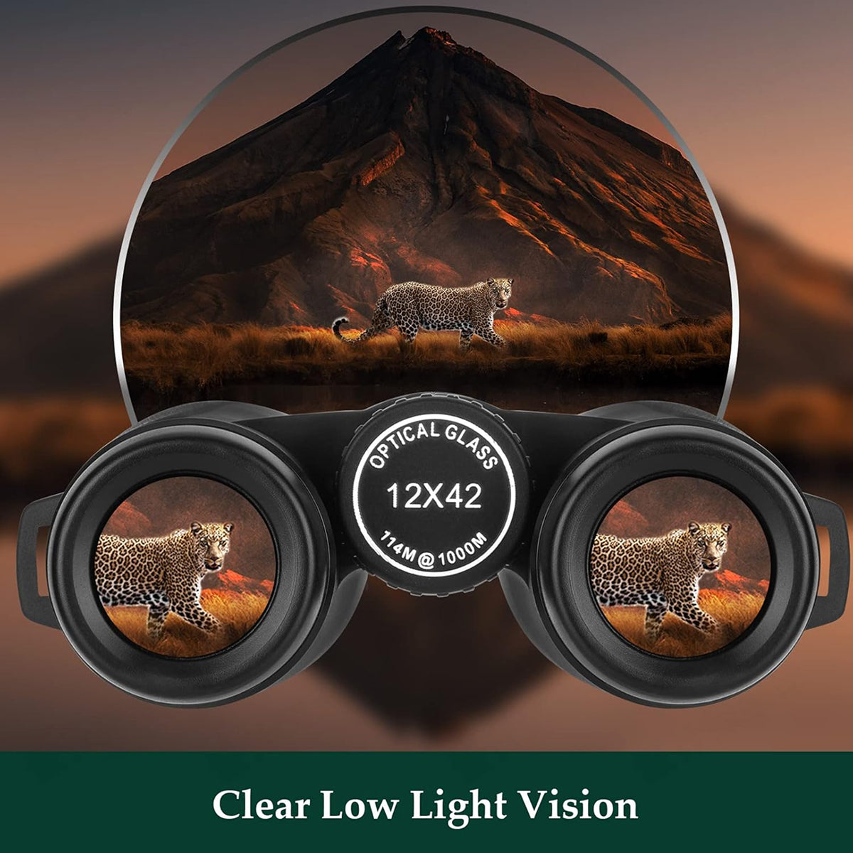 AvidiLens Binoculars for Bird Watching