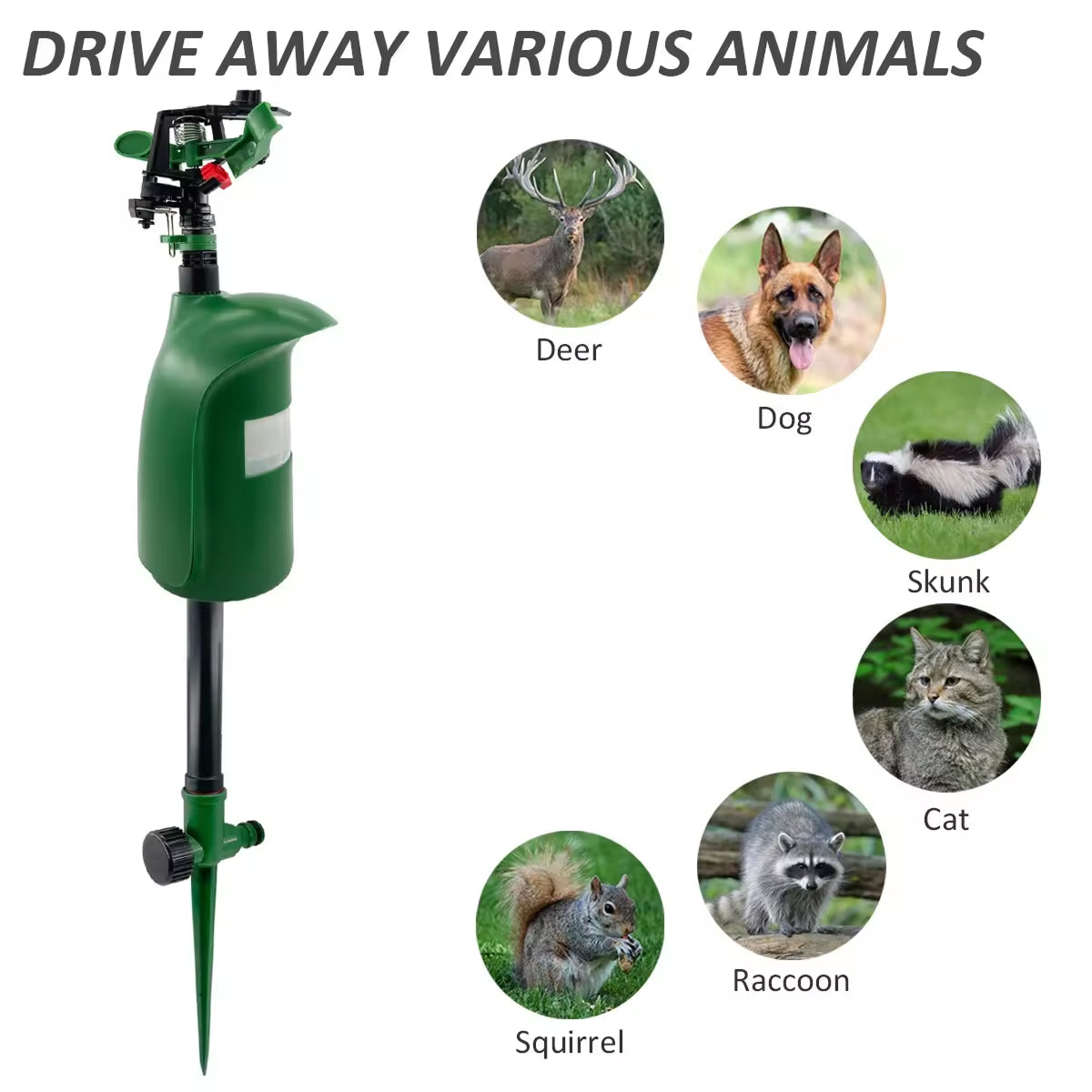 MotixSpray Motion Activated Sprinkler & Armadillo Deterrent