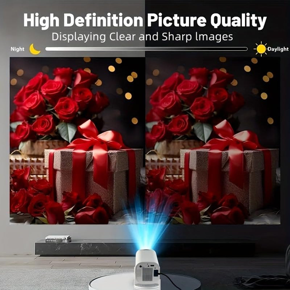 PlayiPix Sports Projector