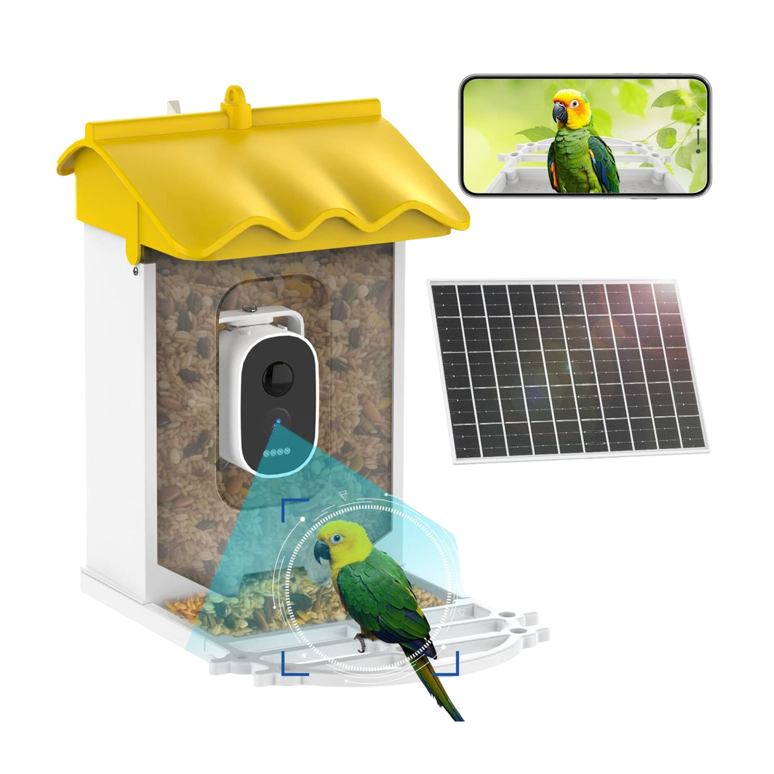 BirdieSaw AI Bird Feeder Camera with 7W Solar Panel & HD Streaming