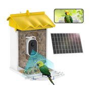 BirdieSaw 3