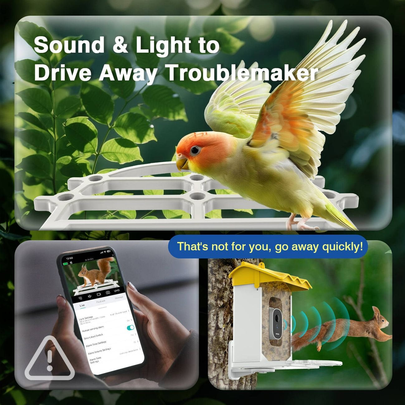 BirdieSaw AI Bird Feeder Camera with 7W Solar Panel & HD Streaming