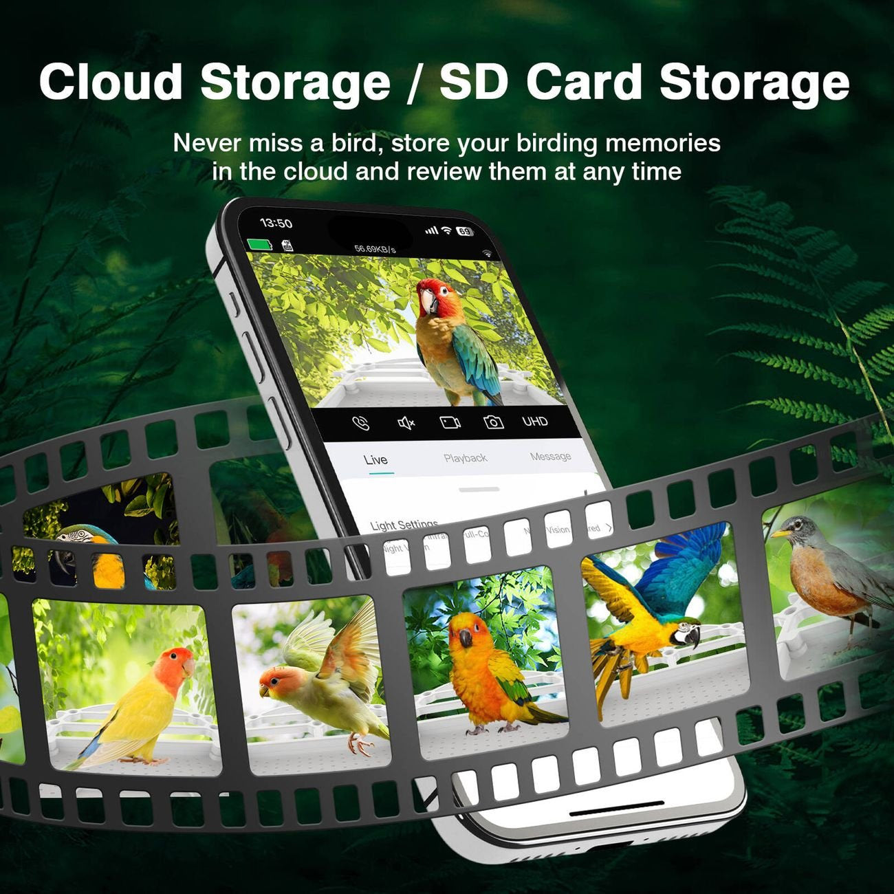 BirdieSaw AI Bird Feeder Camera with 7W Solar Panel & HD Streaming