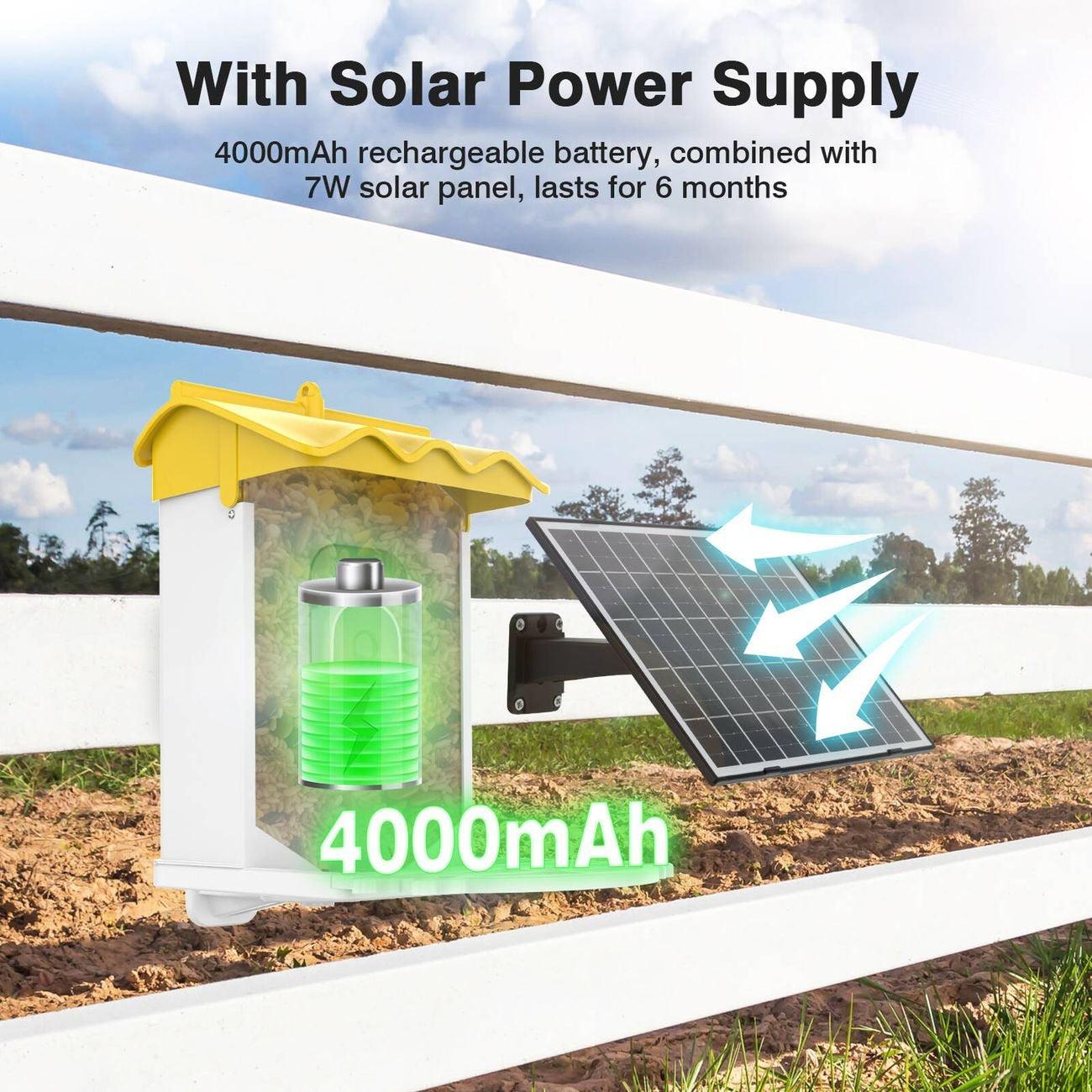 BirdieSaw AI Bird Feeder Camera with 7W Solar Panel & HD Streaming