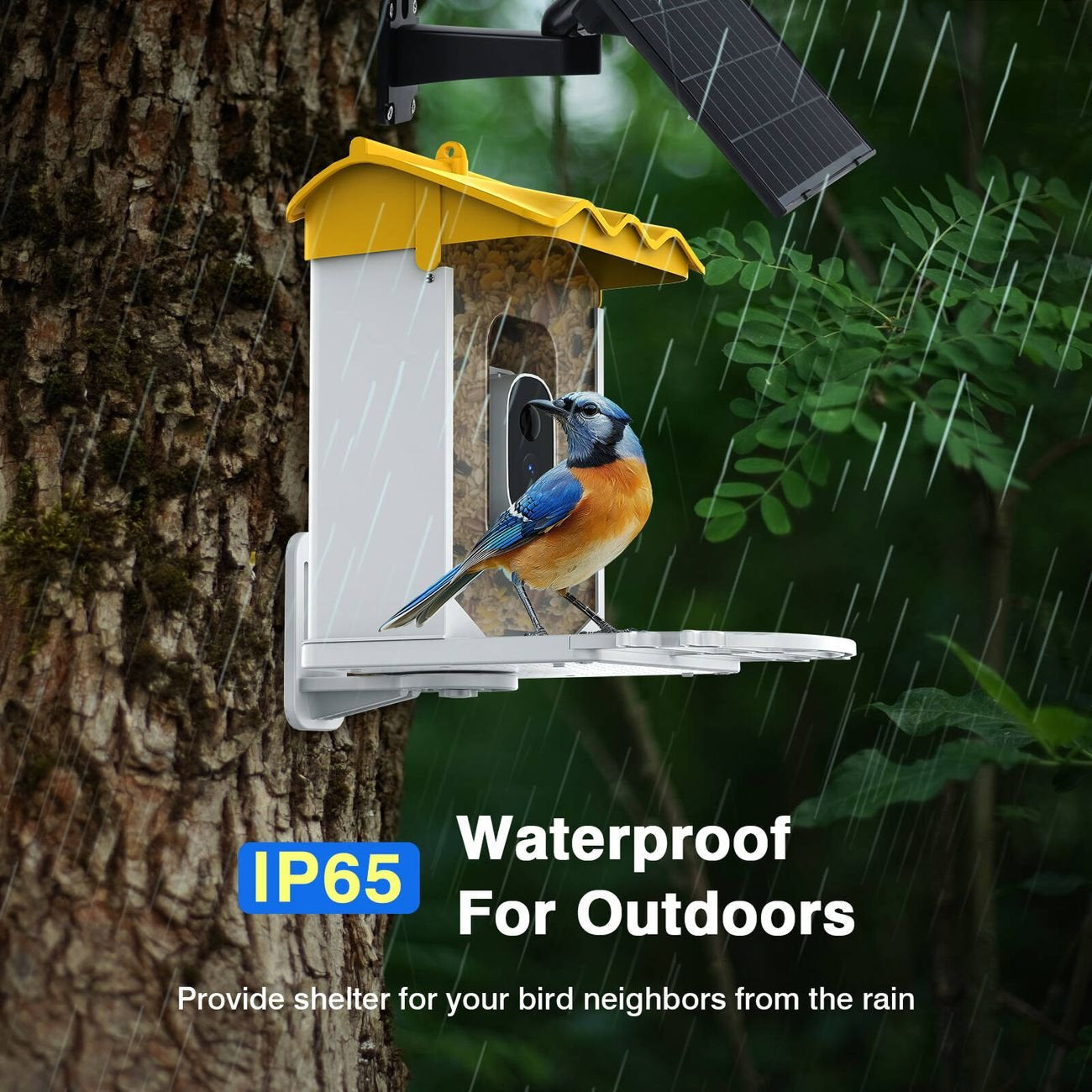 BirdieSaw AI Bird Feeder Camera with 7W Solar Panel & HD Streaming