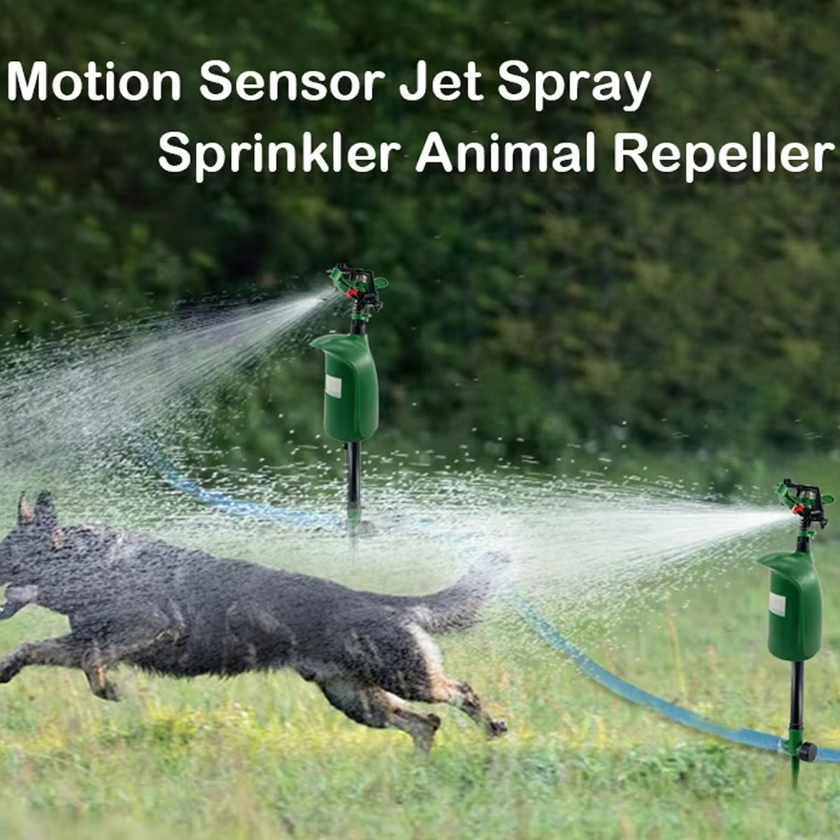 MotixSpray Motion Activated Sprinkler & Armadillo Deterrent