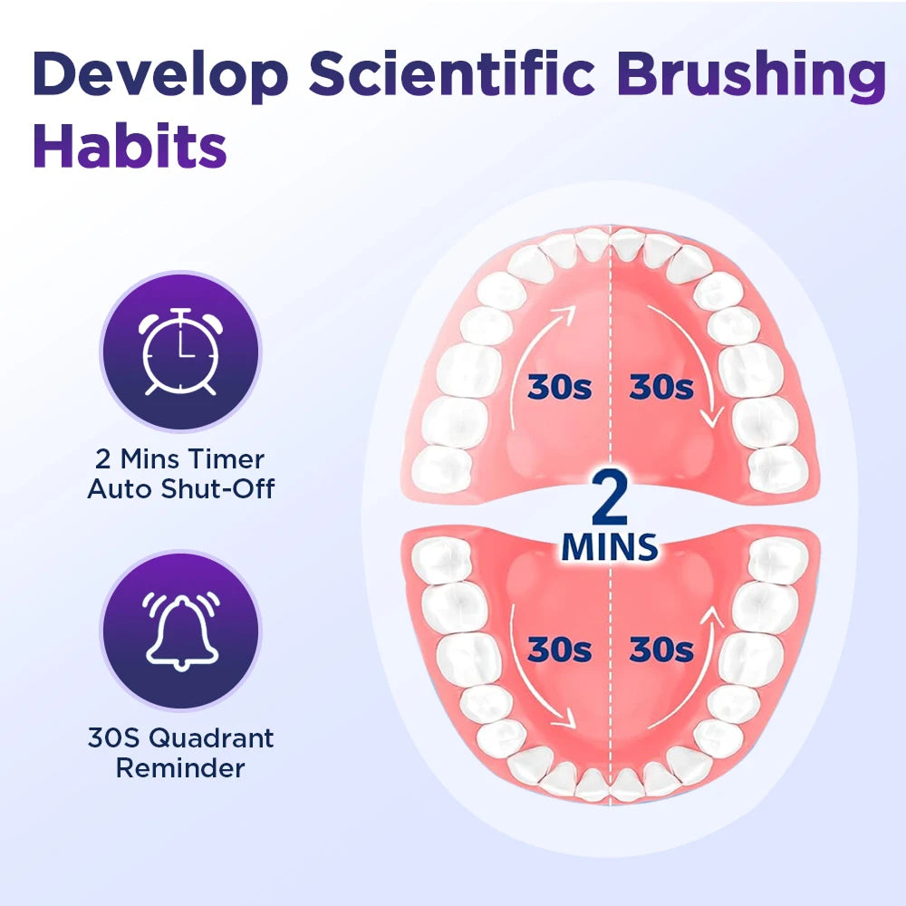 DentiBruly Rotating Electric Toothbrush for Adults with Smart Timer