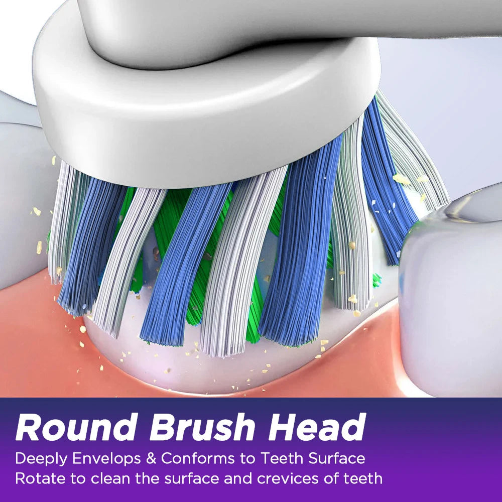 DentiBruly Rotating Electric Toothbrush for Adults with Smart Timer