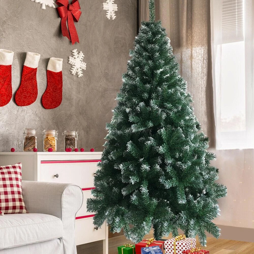 FestivPine