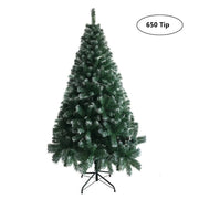 FestivPine 1