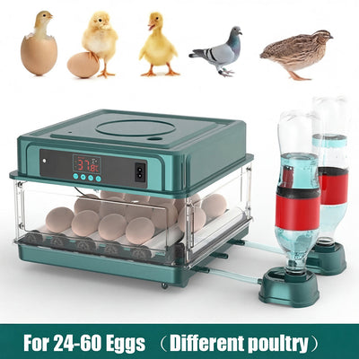 HatchiEggo Professional Automatic Egg Incubator with Battery Backup