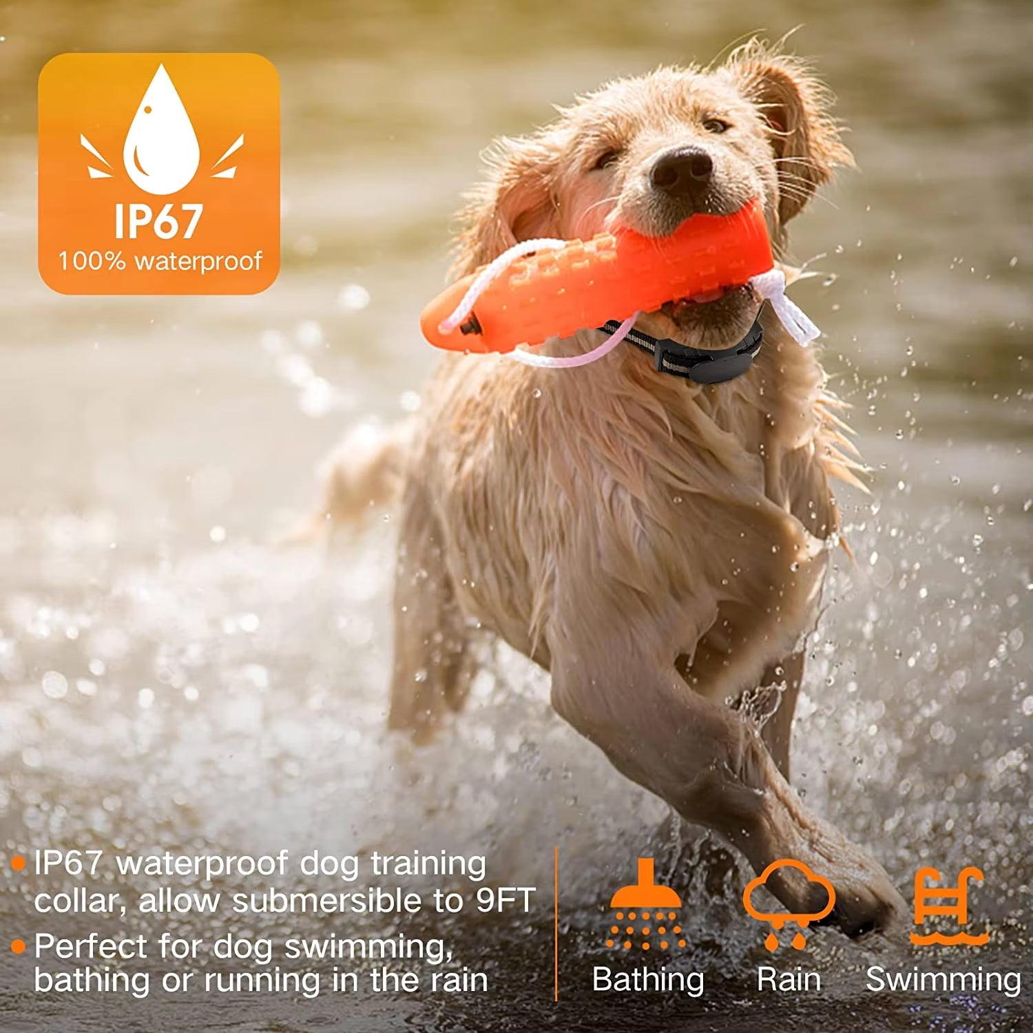 ObeTrainy Professional 1000ft IP67 Waterproof Dog Training Collar