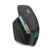 Pamorlix Ergonomic Vertical Mouse with Dual Wireless Connection