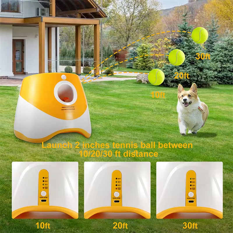 PuppiLob Automatic Dog Ball Launcher for Hands-Free Play