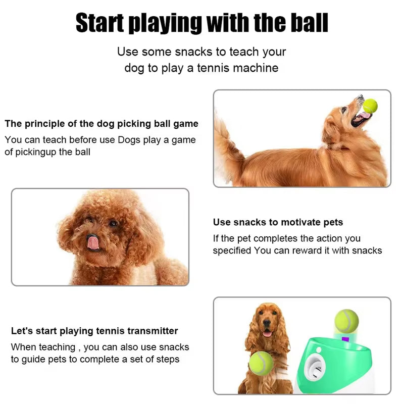 PuppiLob Automatic Dog Ball Launcher for Hands-Free Play