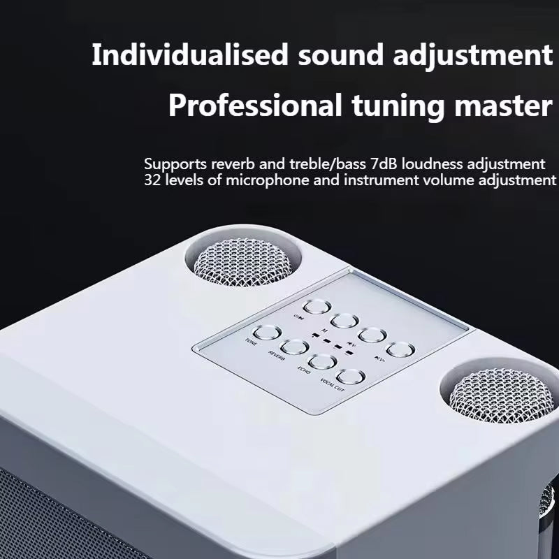 SingWavy Portable Hi-Fi Karaoke Speaker System