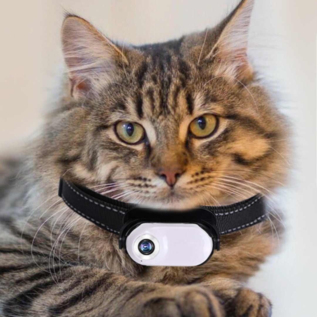 SnapPurr Cat Collar Camera