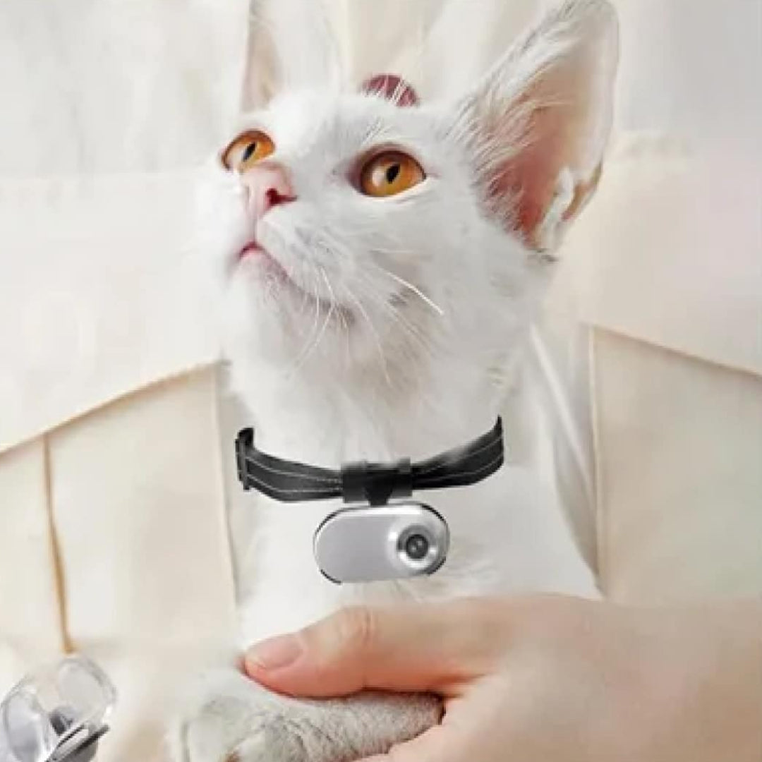 SnapPurr Cat Collar Camera