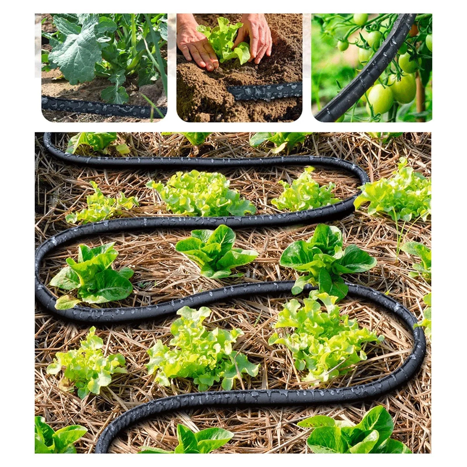 DriPhera 100ft Soaker Hose for Garden Irrigation and Root Hydration