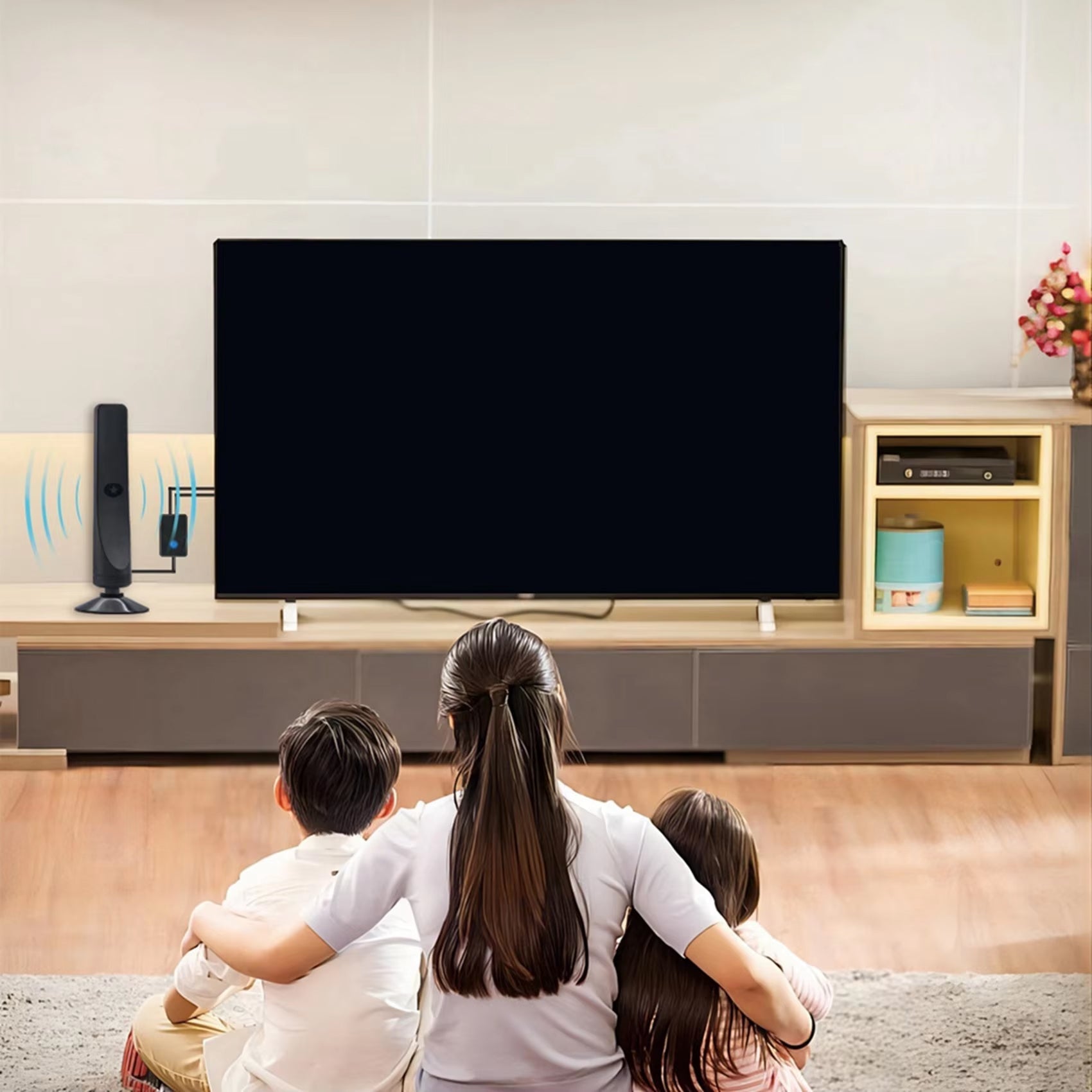 TerraZeni TV Antenna