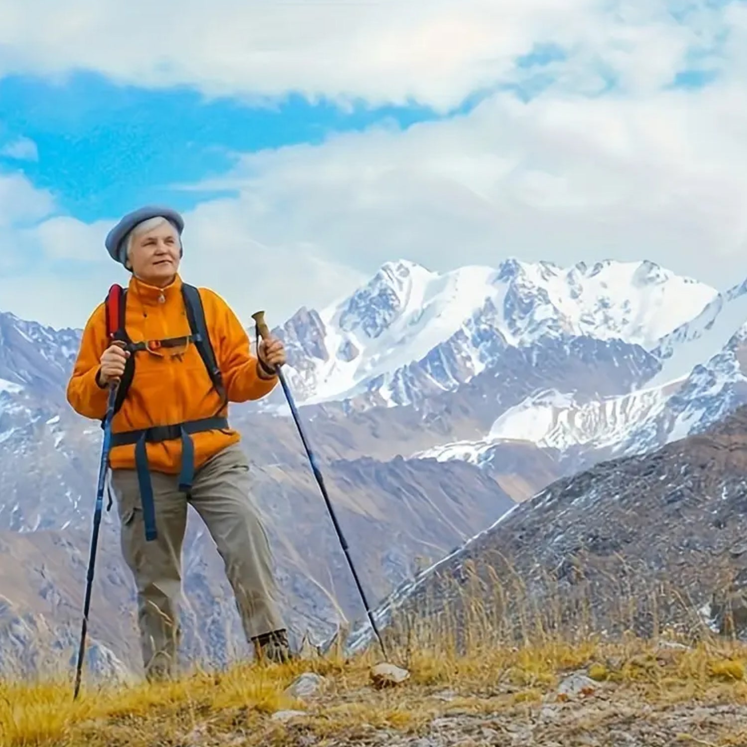 VertoTrek Collapsible Hiking Poles