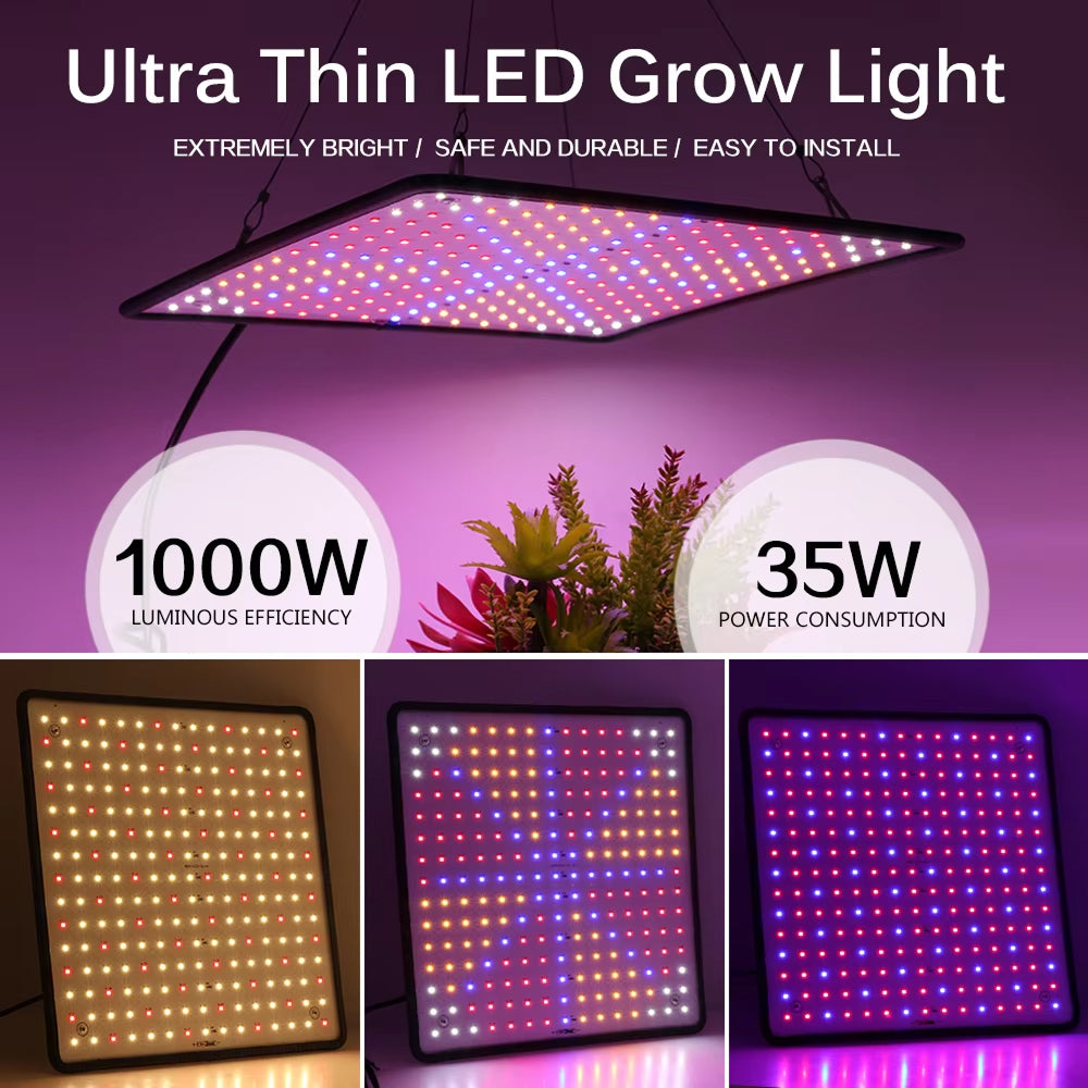 VoraLumi Full Spectrum LED Grow Light for Seedlings and Indoor Plants