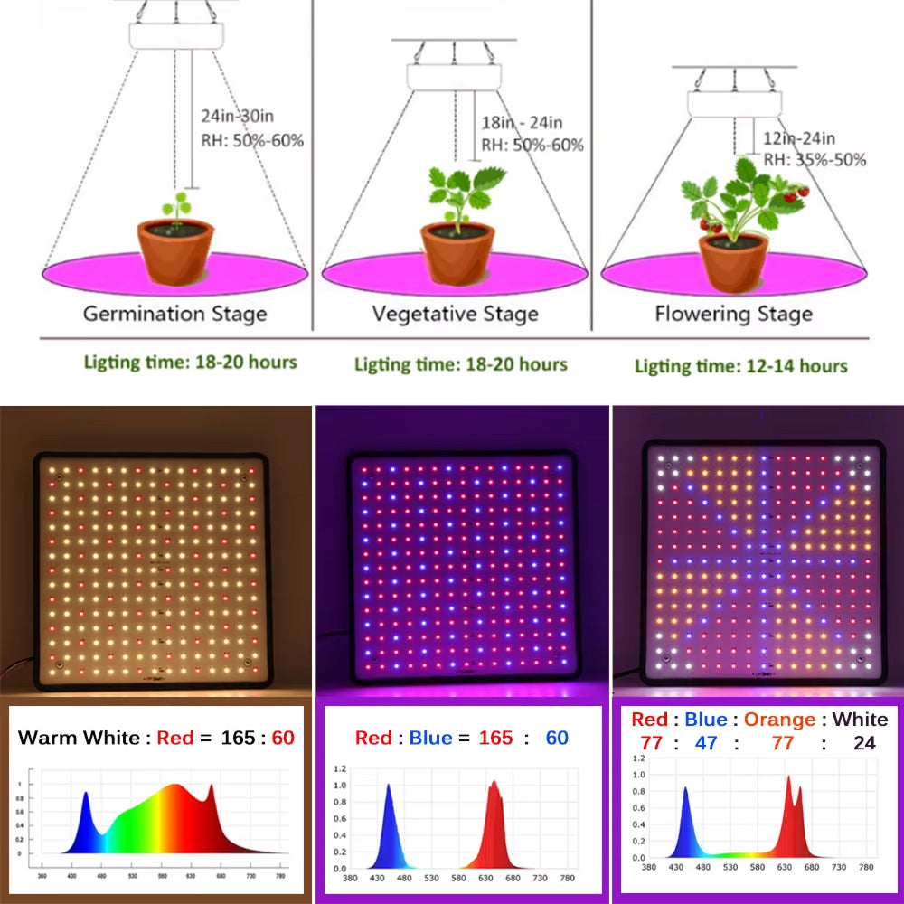 VoraLumi Full Spectrum LED Grow Light for Seedlings and Indoor Plants