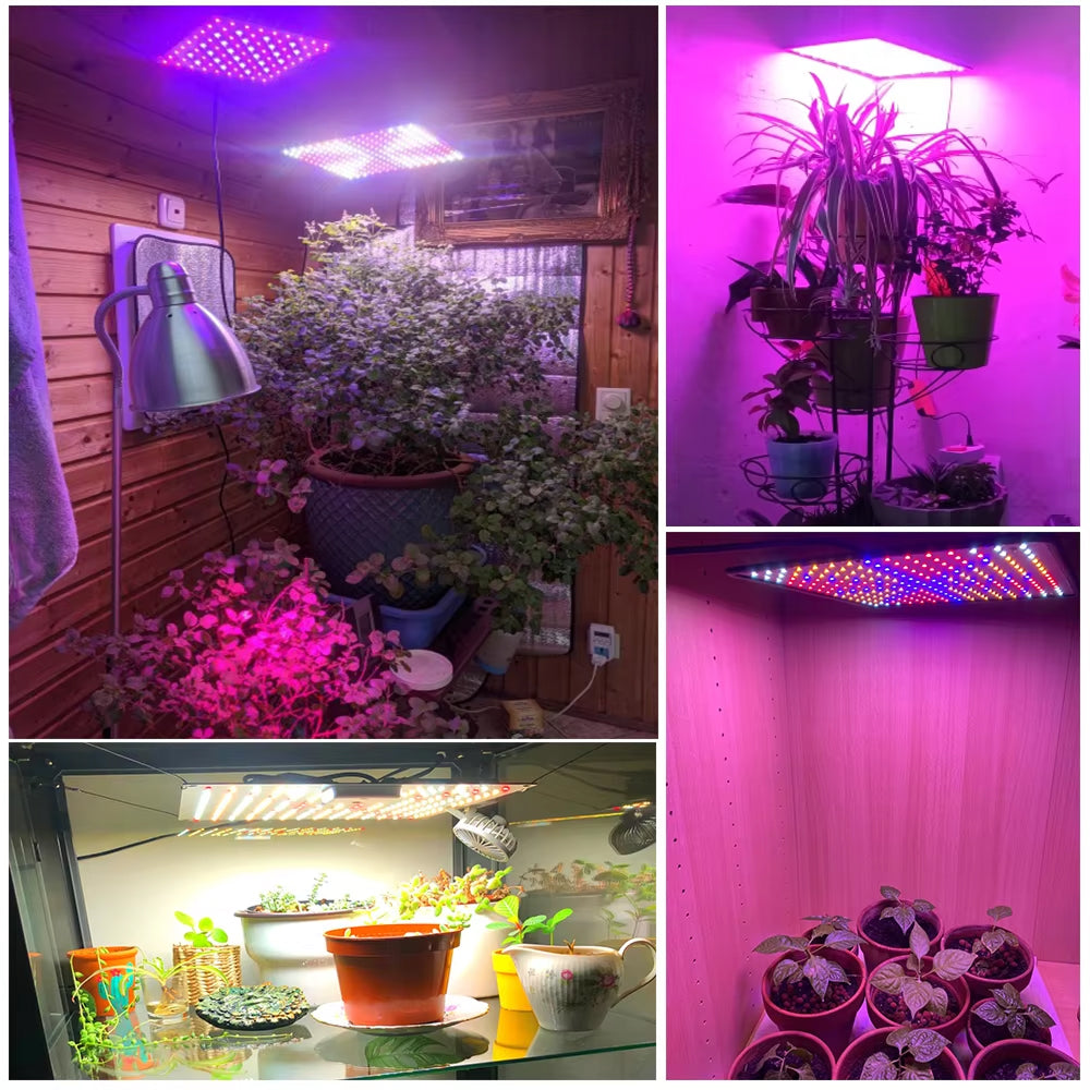 VoraLumi Full Spectrum LED Grow Light for Seedlings and Indoor Plants