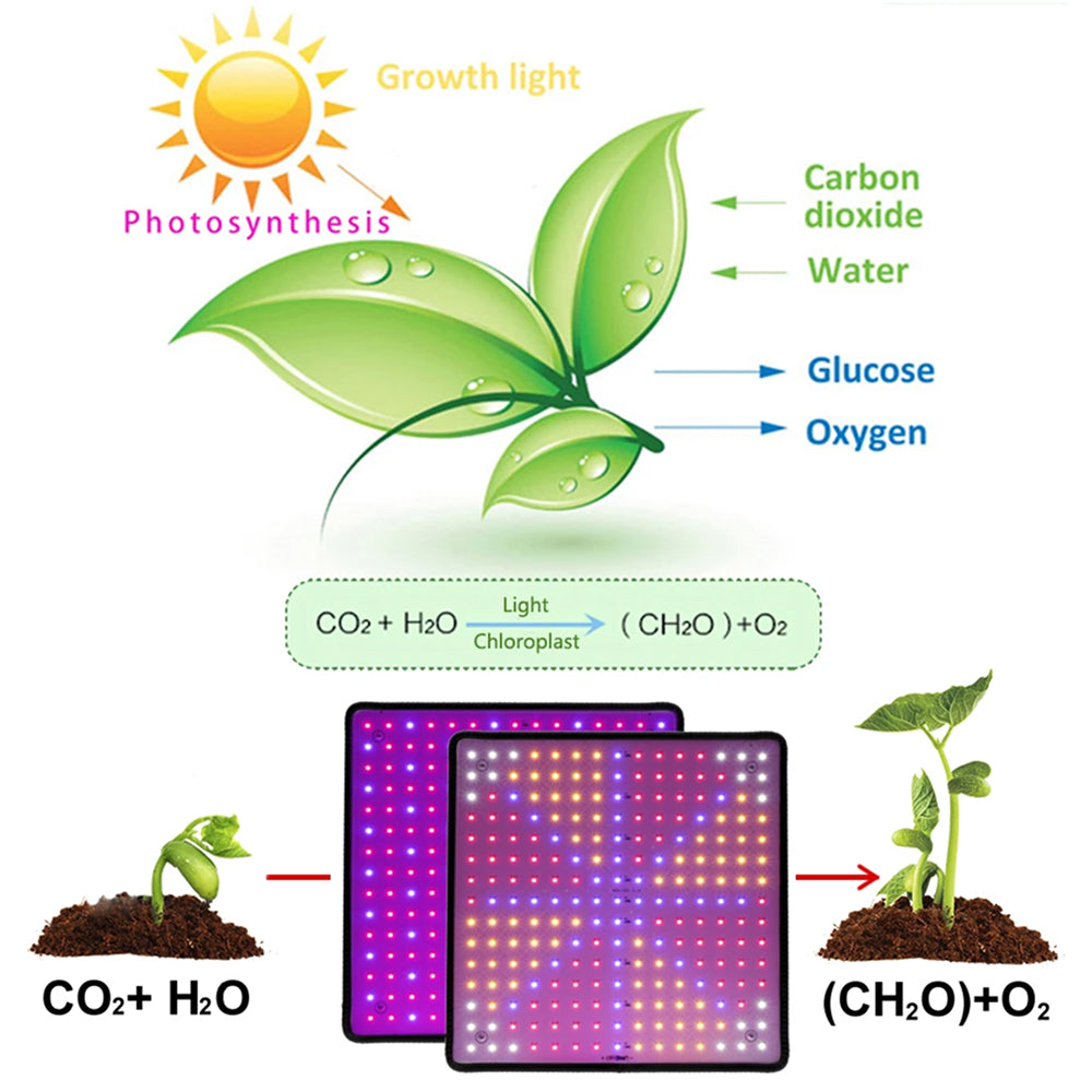 VoraLumi Full Spectrum LED Grow Light for Seedlings and Indoor Plants