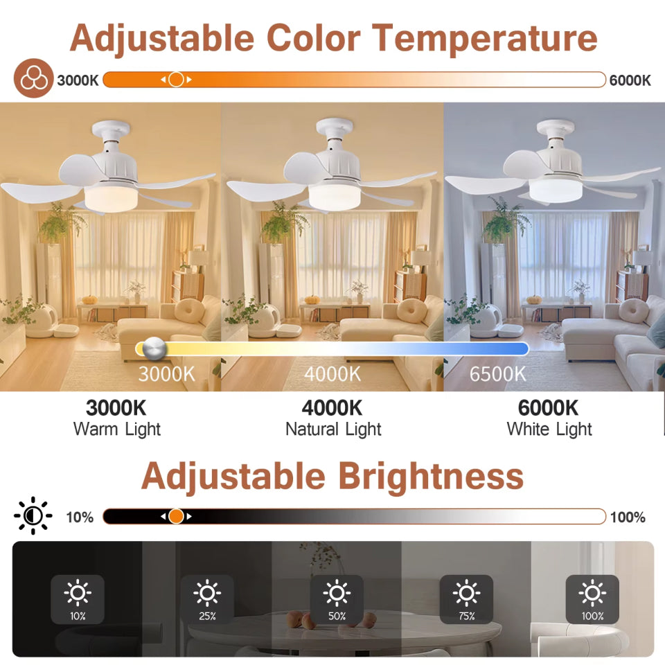 WhireeLux Socket Fan Light
