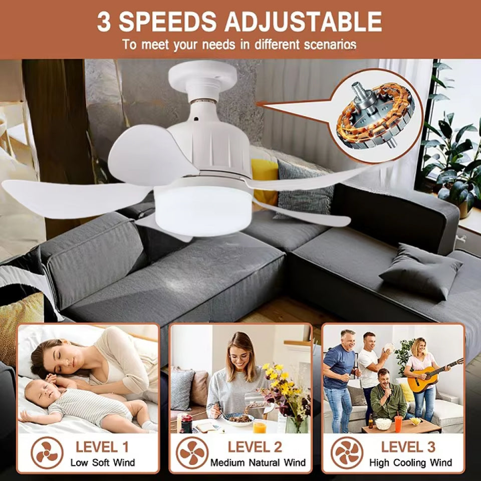 WhireeLux Socket Fan Light
