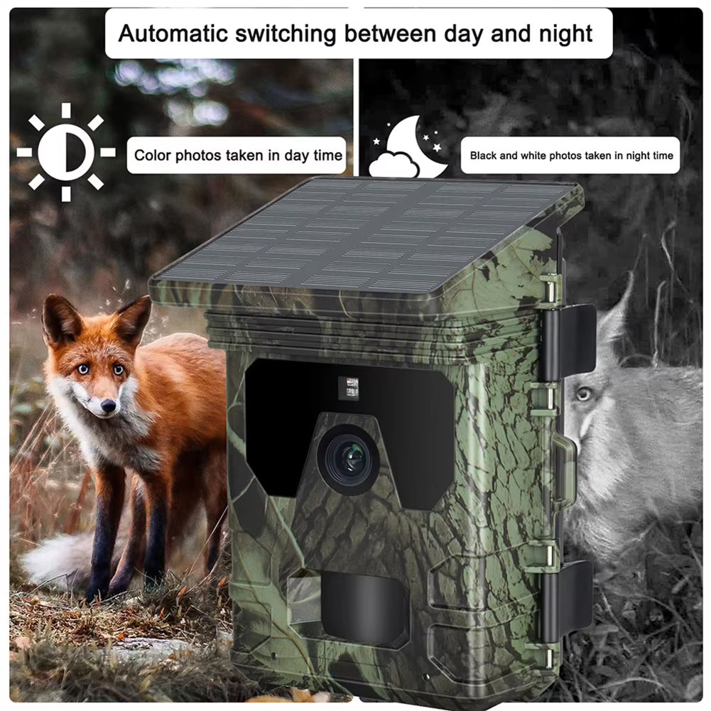 Wildsnap v2 - 5