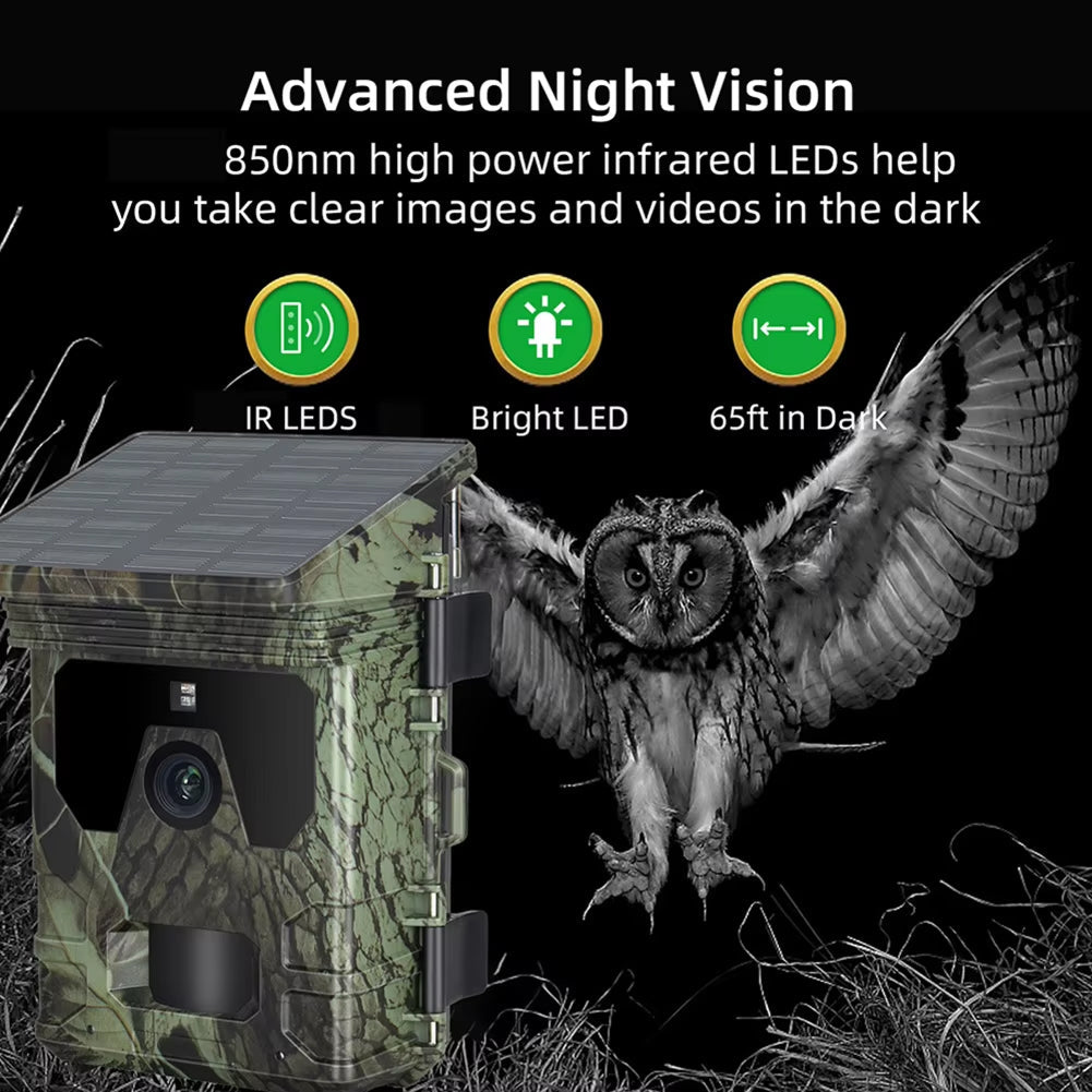 Wildsnap v2 - 7