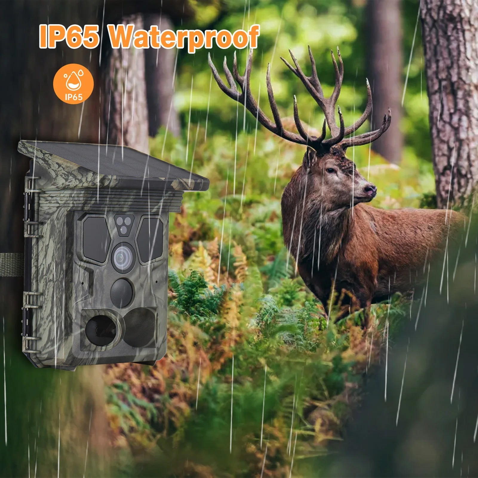 Wildsnap 4K WiFi Solar Trail Camera