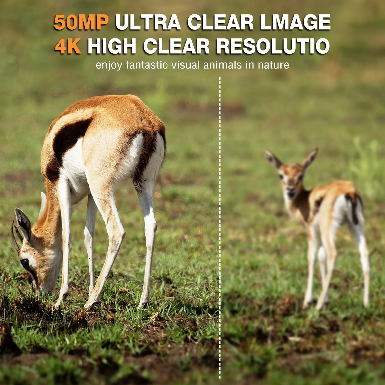 Wildsnap 4K WiFi Solar Trail Camera