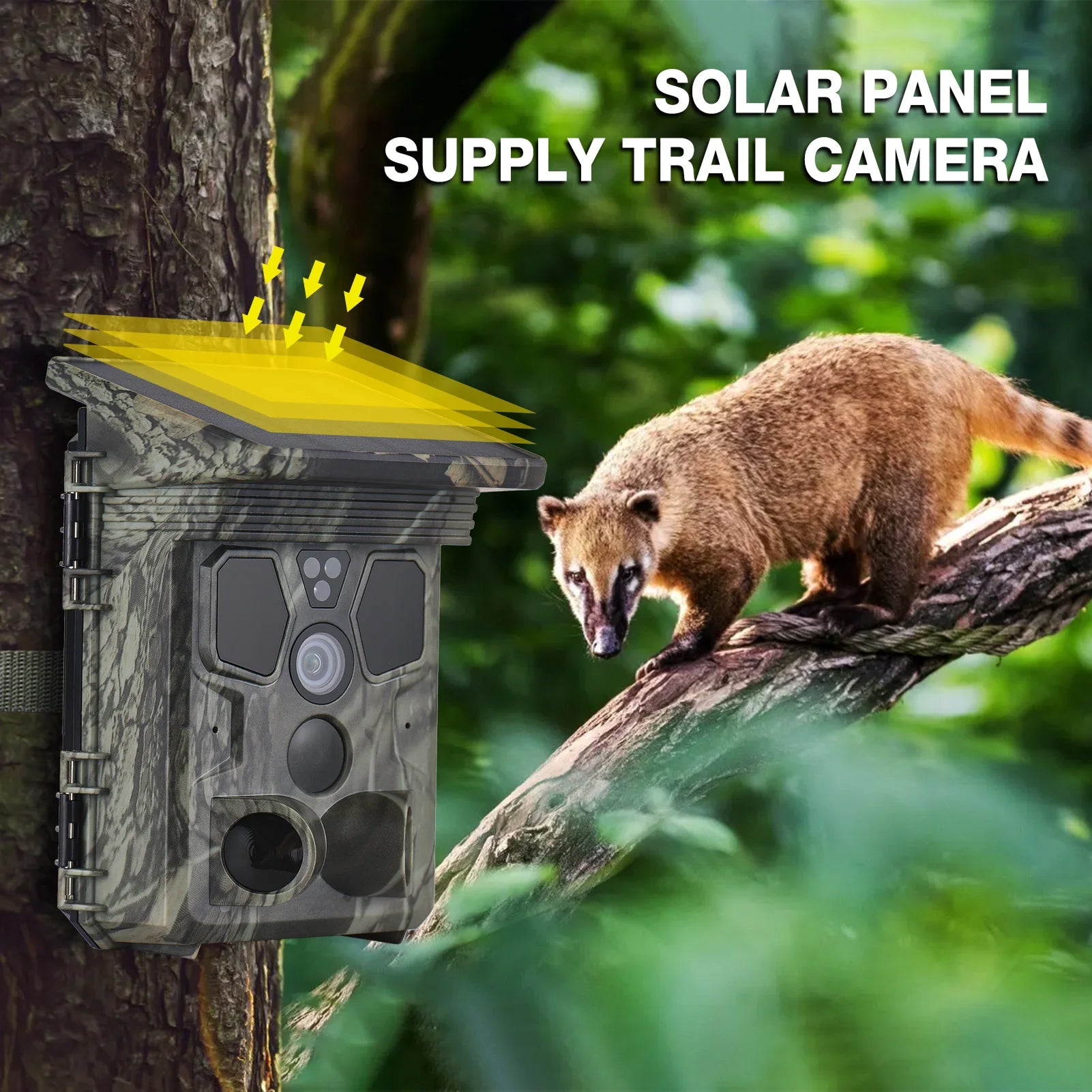 Wildsnap v3 - 1