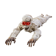 WrapsRixe