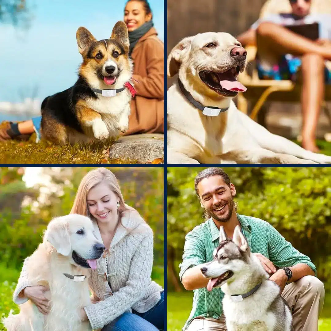 Zerobark Smart Anti-Barking Dog Training Collar