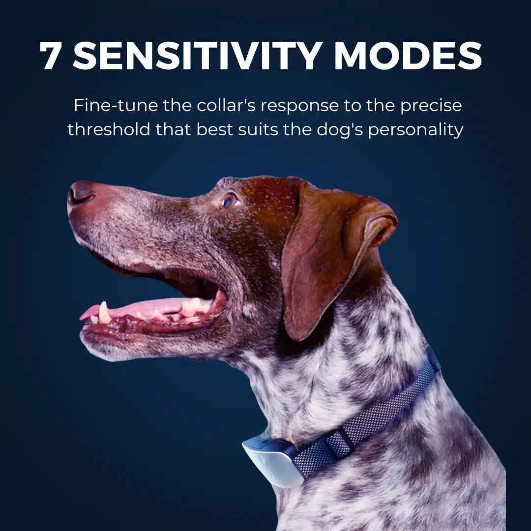 Zerobark Smart Anti-Barking Dog Training Collar